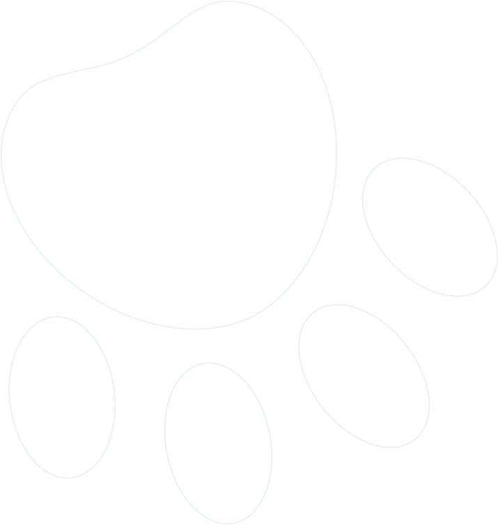 Background Overlay Image